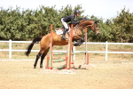 SBM_000860