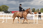 SBM_06342
