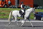 SIAL0793