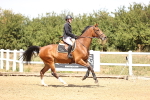 SBM_000887