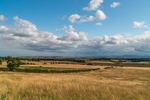 Scottish Borders view with fields of yellow cereals