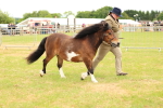 SBM_04386