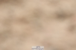 250622-133934-16726
