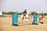 SBM_001305