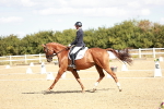 SBM_009350