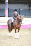 Regional Ridden Champ portfolio