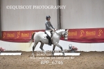 BPP_6746