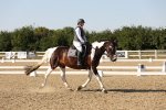 SBM_006982