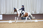 SBM_003556