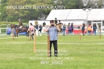 BPP_6901