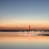 Fawley Tower 6268