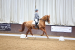SBM_007963