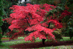 Batsford - 04
