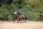 WJ6_7842