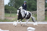 Unaffiliated Dressage portfolio