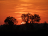 14th May Fiery Sky