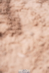 240505A-155344-06998
