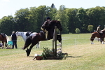 Brechin Castle Charity show 2025 portfolio