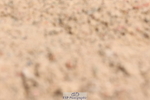 240706A-104711-00502