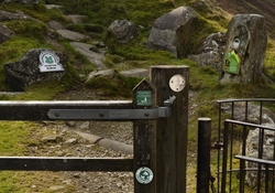 Fragile land 2 portfolio