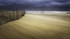 NOVEMBER LIGHT - LONG POINT BEACH