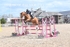 BPP_5069
