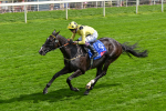260725-Race 3-Royal Champion-7450