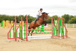 SBM_001691