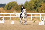 SBM_018530