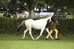 SBM_68545