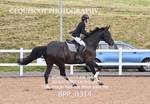 BPP_0314