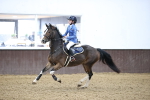 Class 1 - Pony Intro 70cm Open portfolio