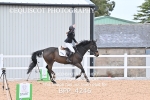 BPP_4246