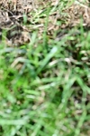 SBM_09460