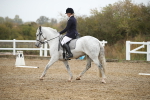 SBM_001244