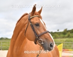 equiscot3567
