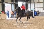 BPP_6166
