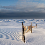 SNOW/SAND FENCES, LONG POINT portfolio