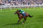 190826-Race 2-Haffner-0227