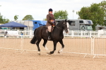 SBM_15623