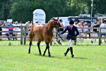 SBM_03867
