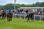 150526-Race 4-Love A Giggle-7731