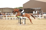 SBM_008477