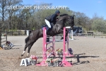 BPP_3105