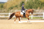 SBM_018327