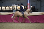 SBM_09341