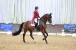 SBM_006087