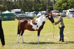 SBM_05448