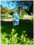 Mount Stewart (IMG0040)