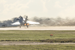 _J8A8076 copy